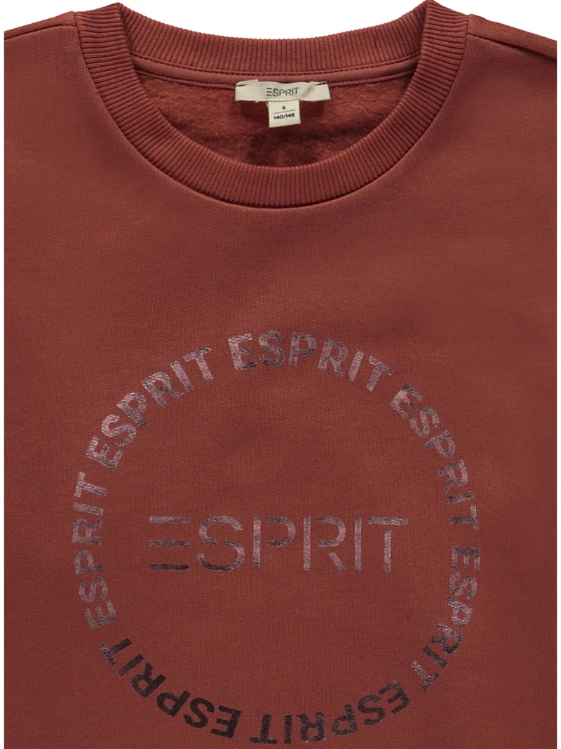 Sweatshirt Braun