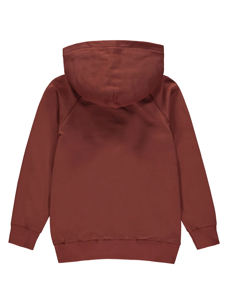 Hoodie Braun