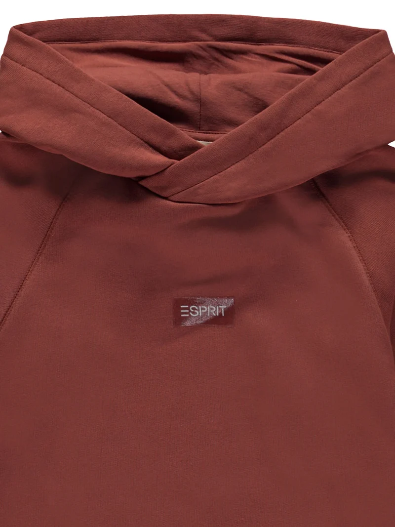 Hoodie Braun
