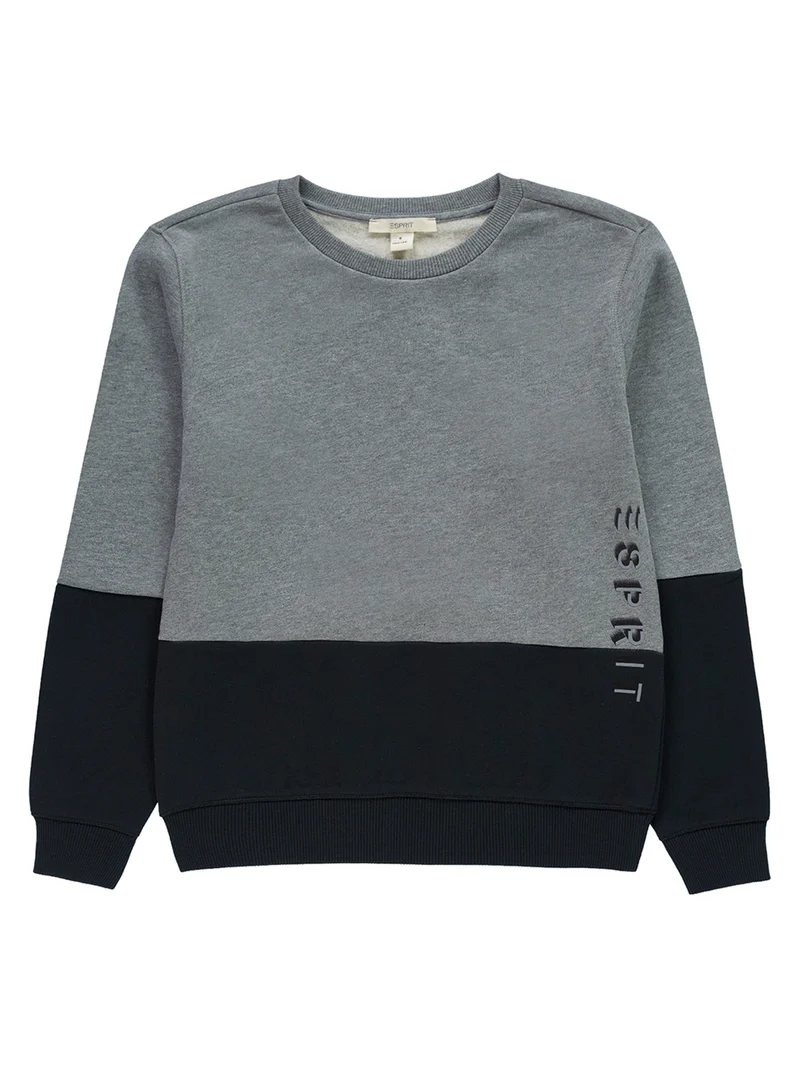 Longsleeve Grau