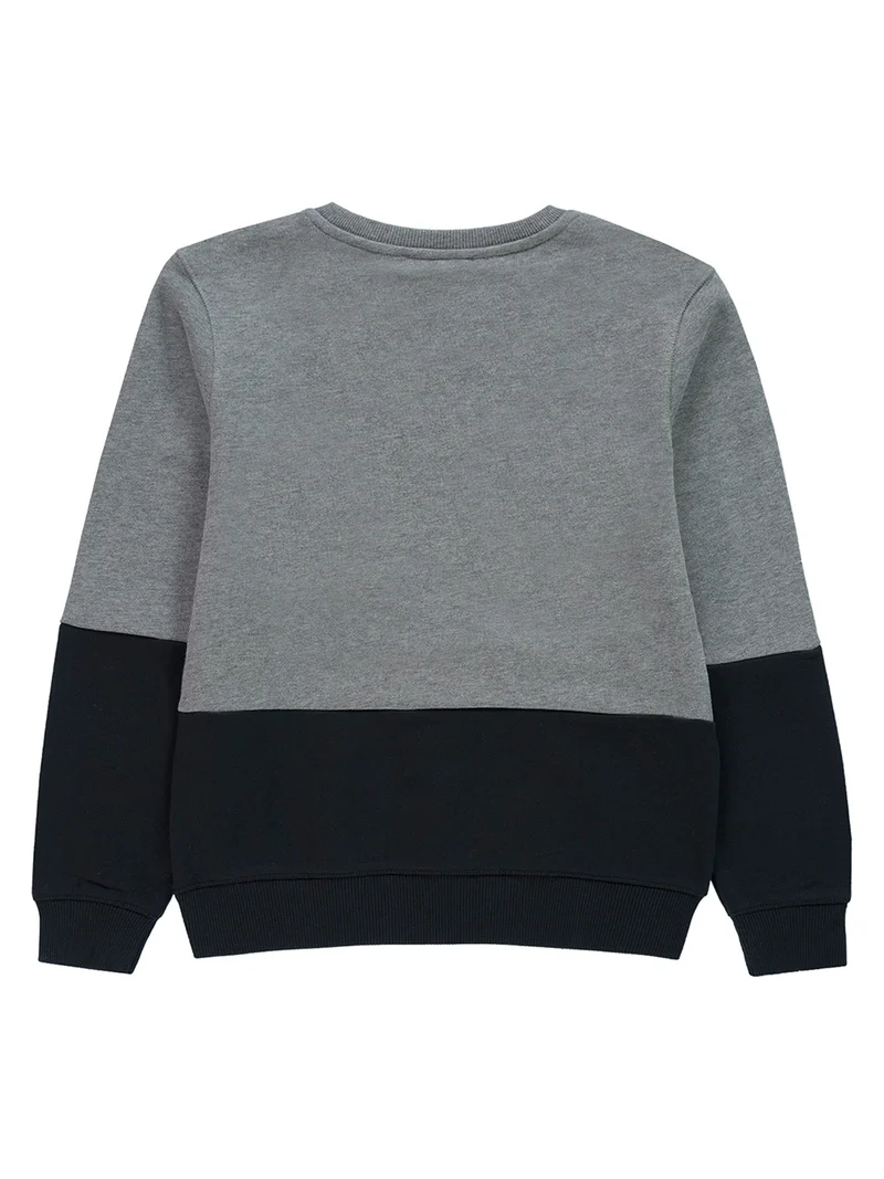 Longsleeve Grau