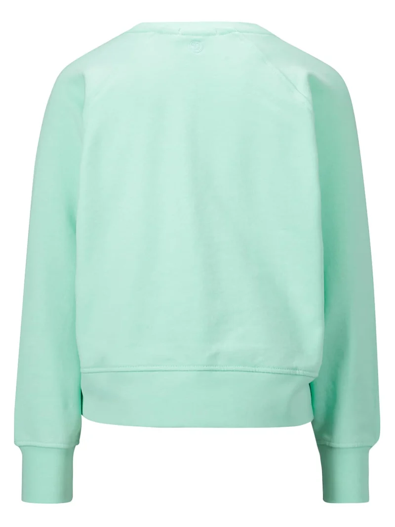 Sweatshirt G-BASIC-SWEAT-RNLS Grün