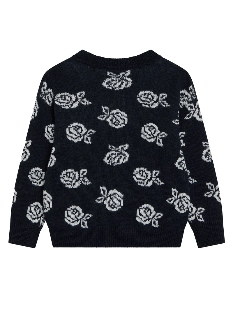 Pullover Fleckers Marineblau
