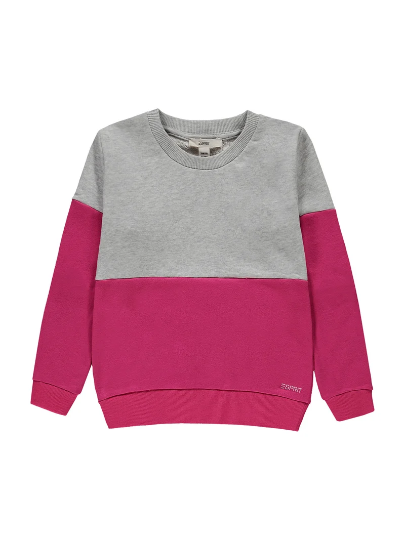 Sweatshirt Pink