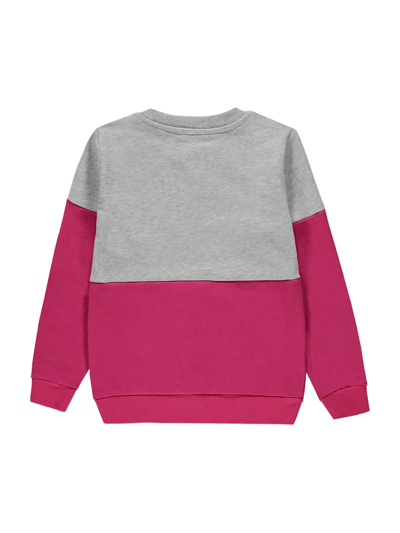 Sweatshirt Pink