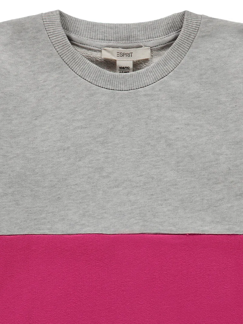 Sweatshirt Pink