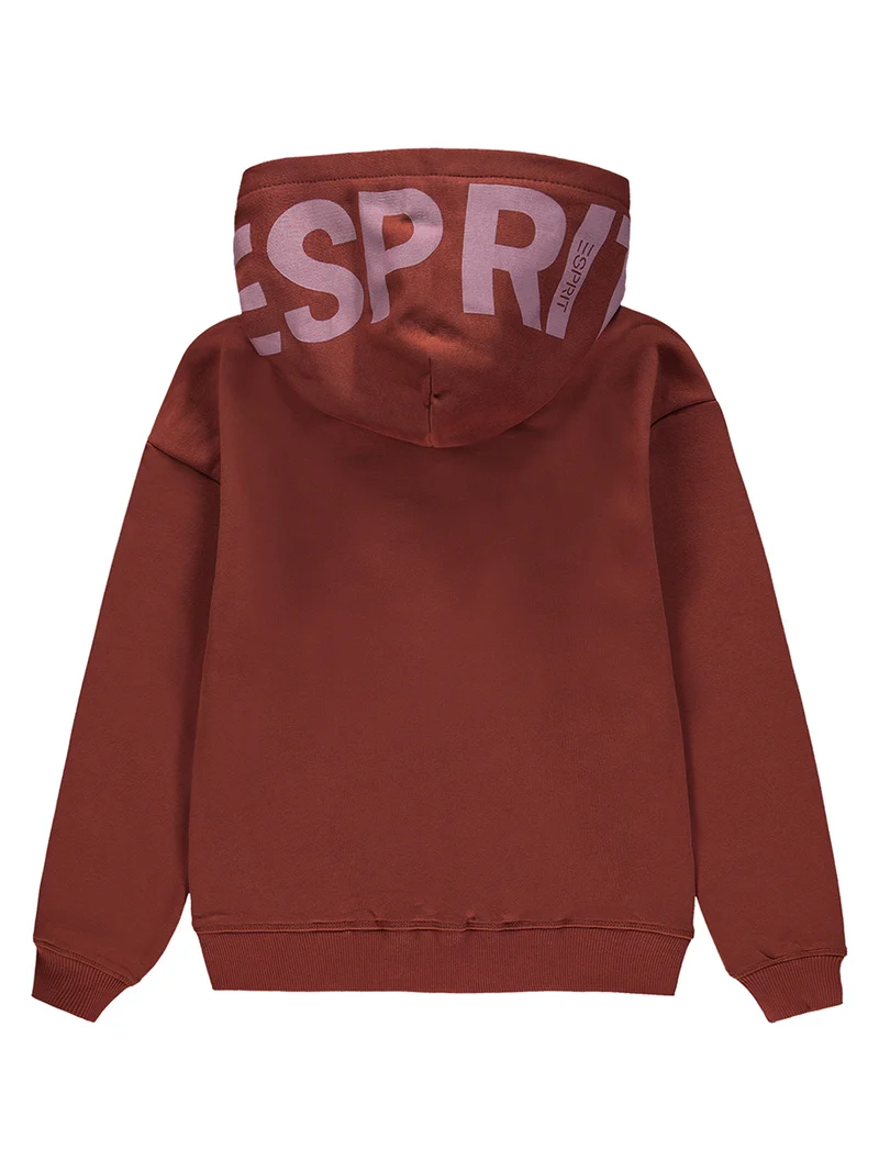 Sweatjacke Braun