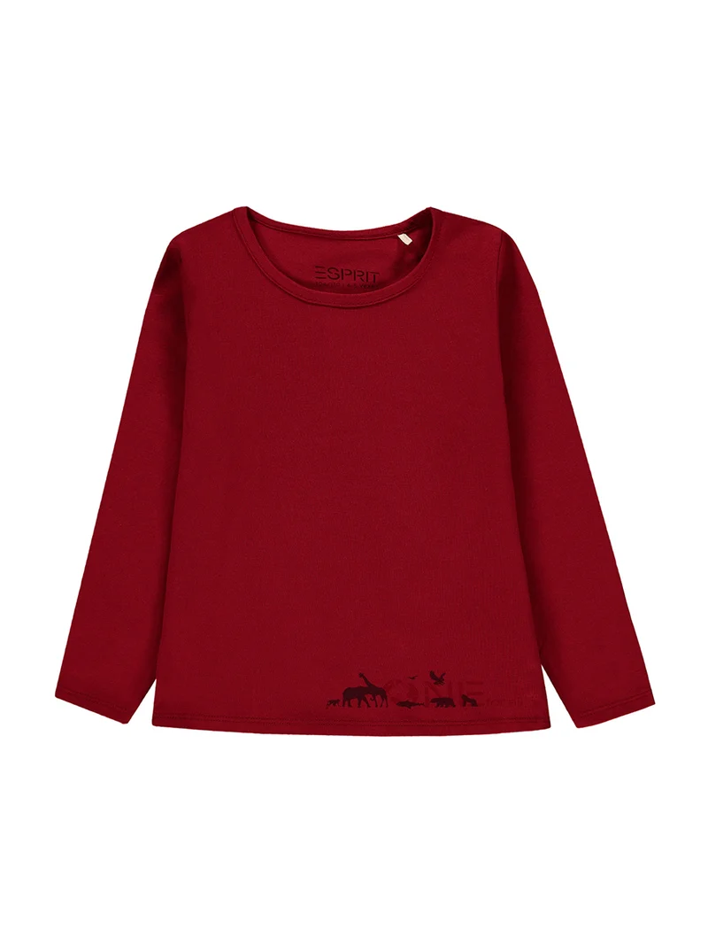 Longsleeve Rot