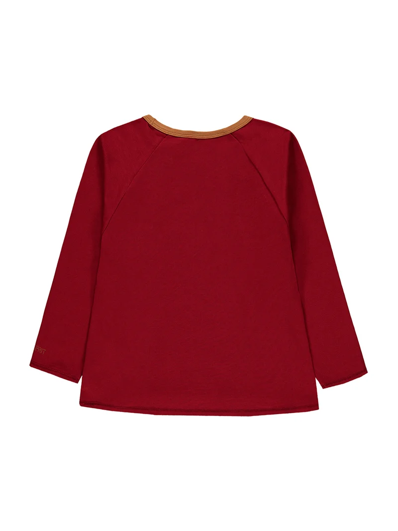 Longsleeve Rot