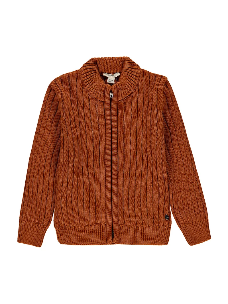 Sweatjacke Braun