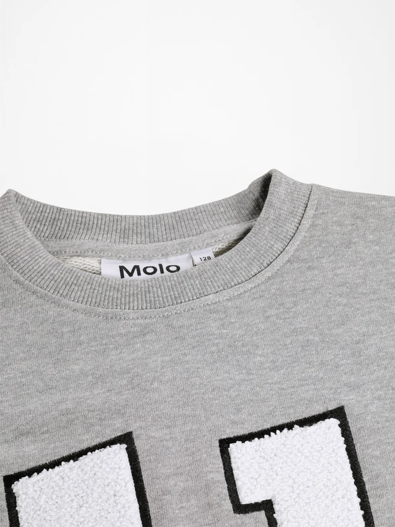 Sweatshirt Magni Grau