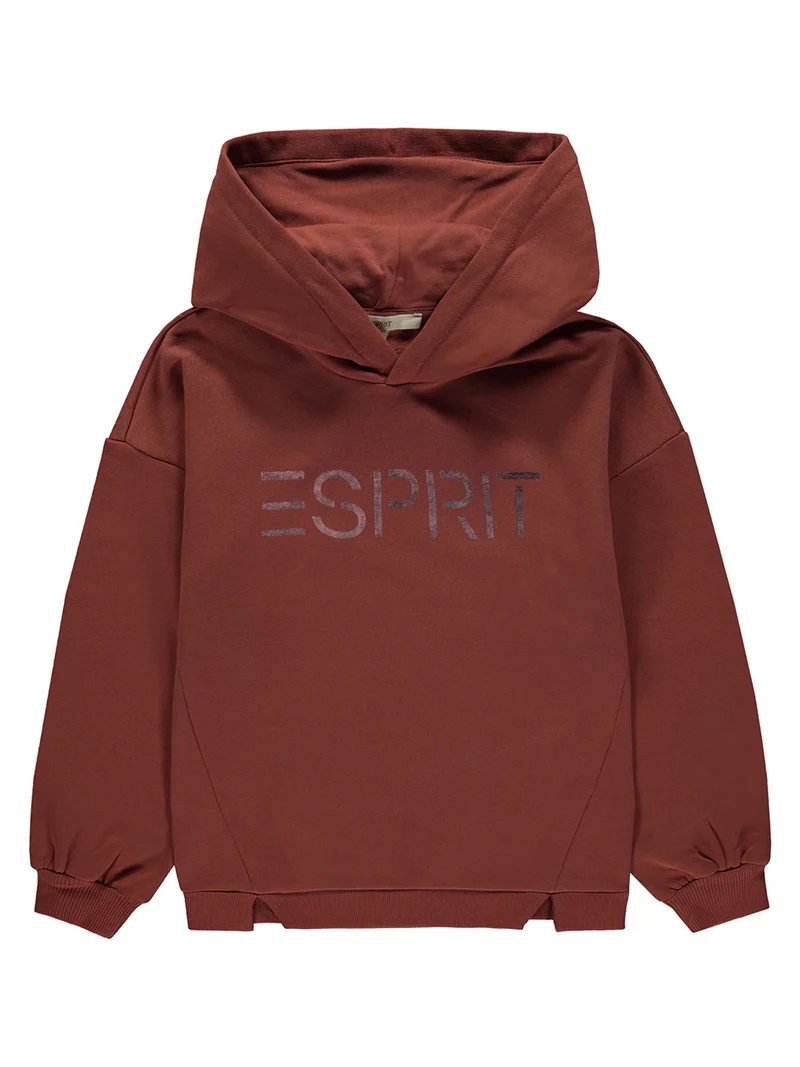 Hoodie Braun