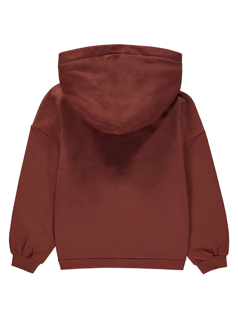 Hoodie Braun