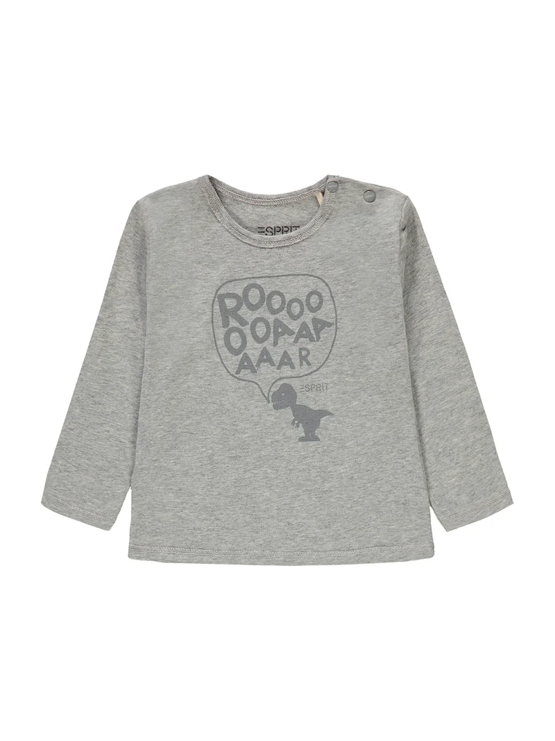 Longsleeve Grau