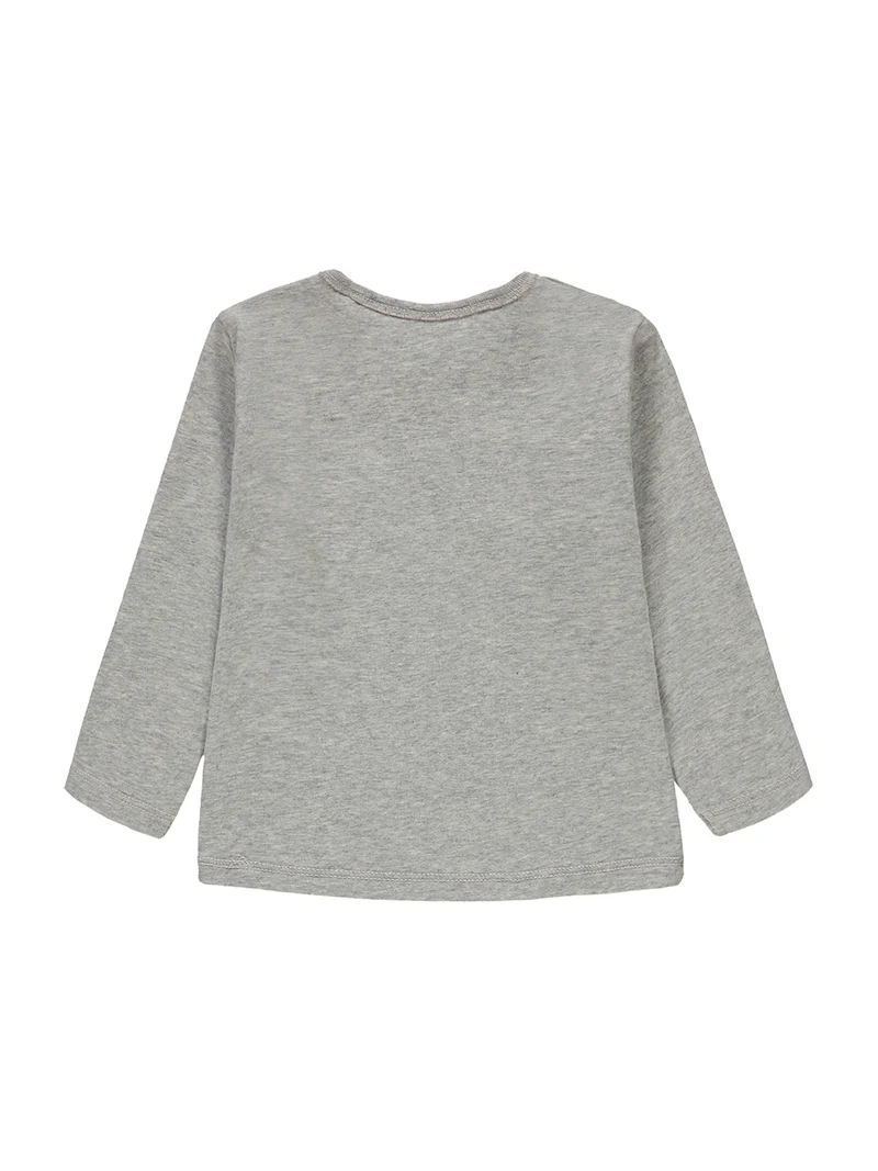 Longsleeve Grau