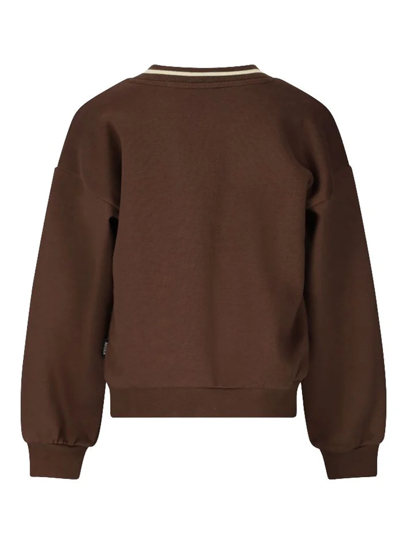 Pullover Brigitta Braun