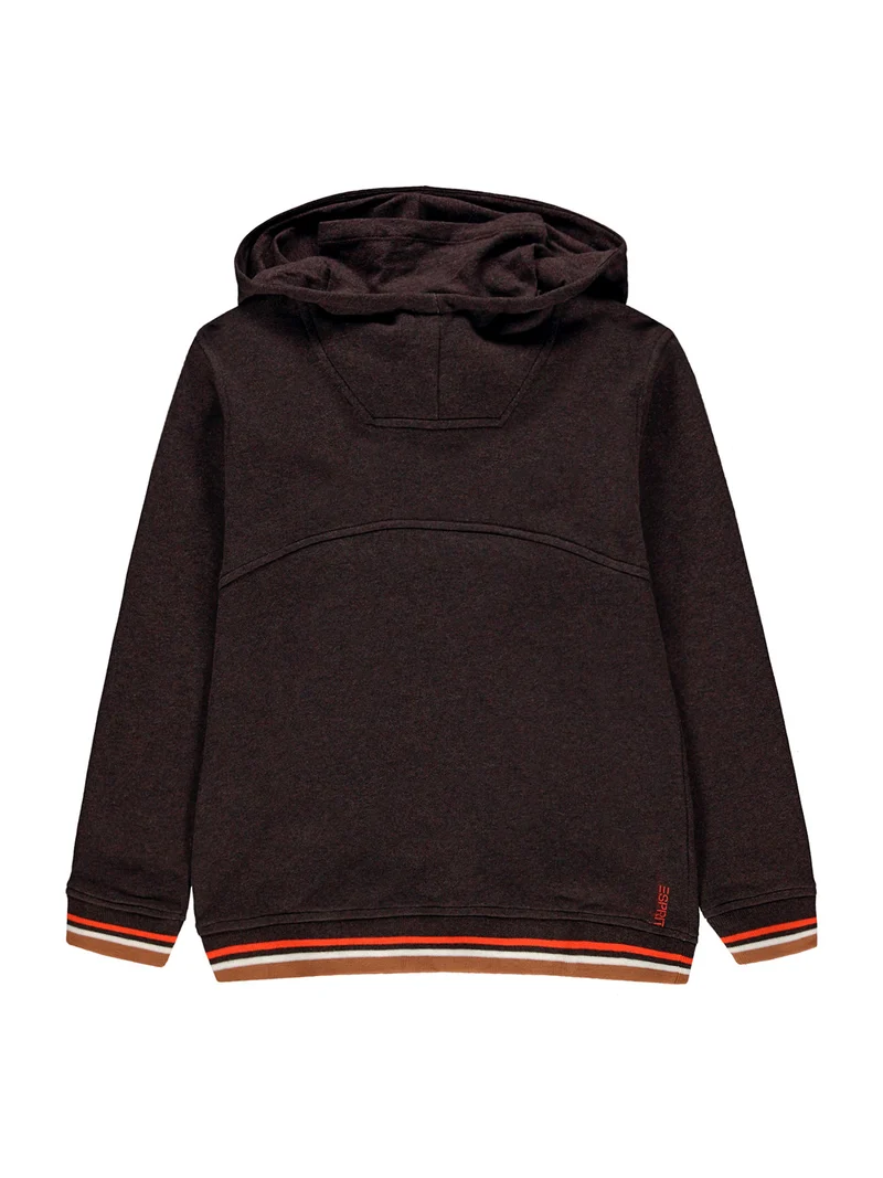Hoodie Braun