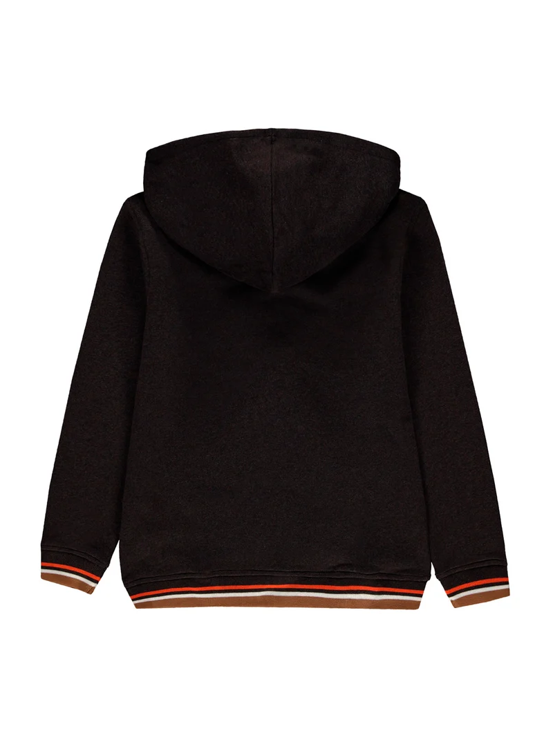 Hoodie Braun