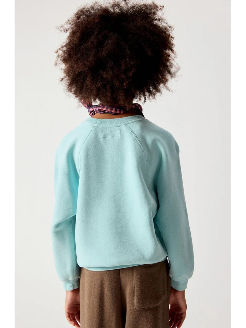 Sweatshirt Izubird Mintgrün