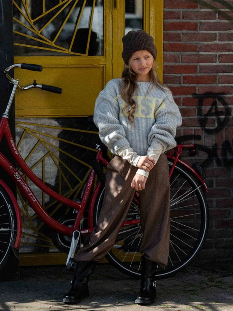 Pullover Rose Grau