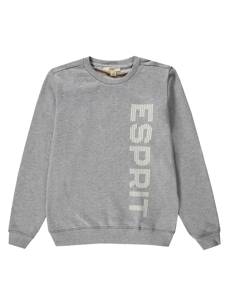 Sweatshirt Grau