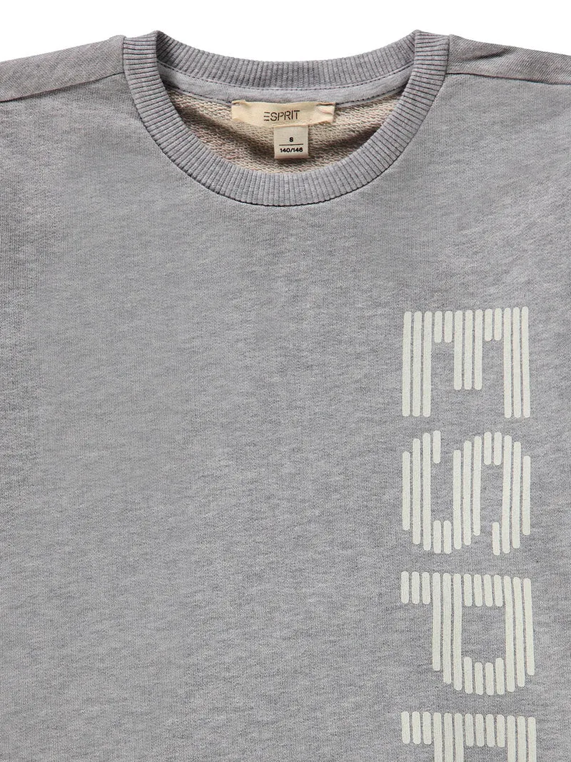 Sweatshirt Grau