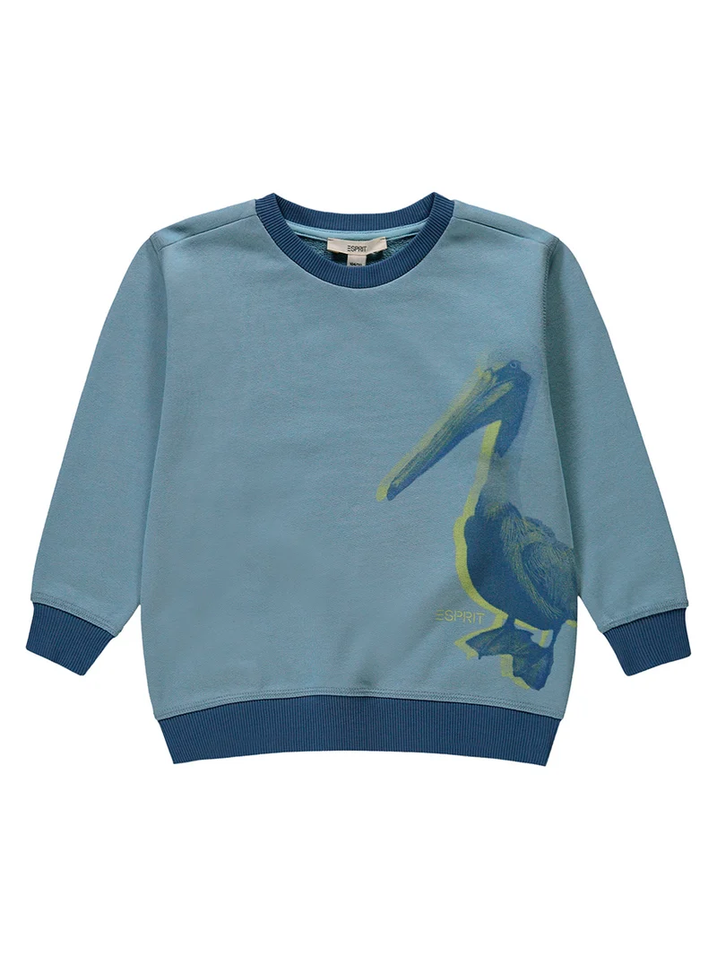 Sweatshirt Hellblau