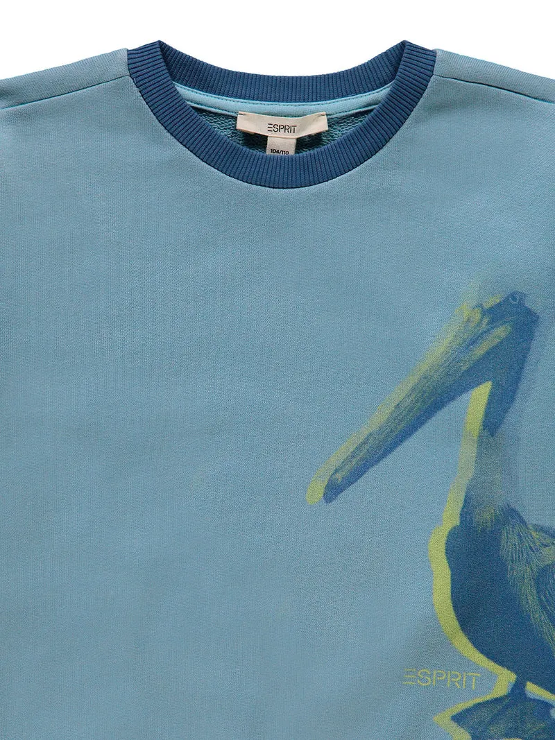 Sweatshirt Hellblau