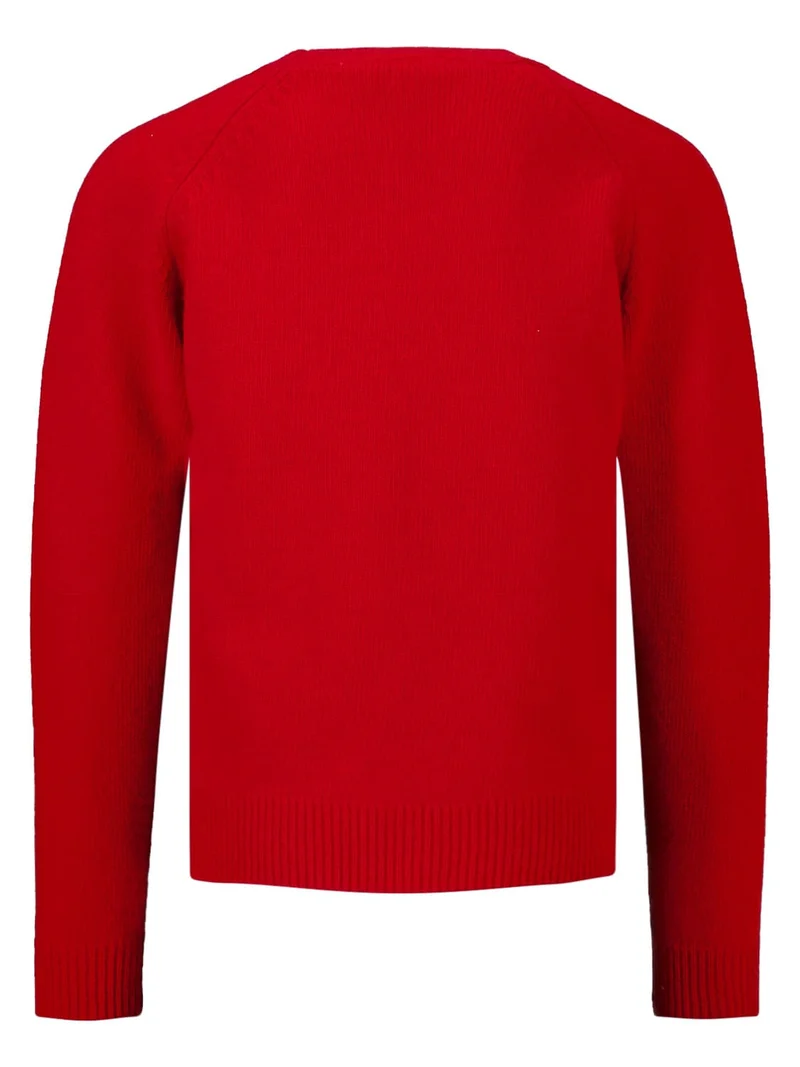 Pullover Rot