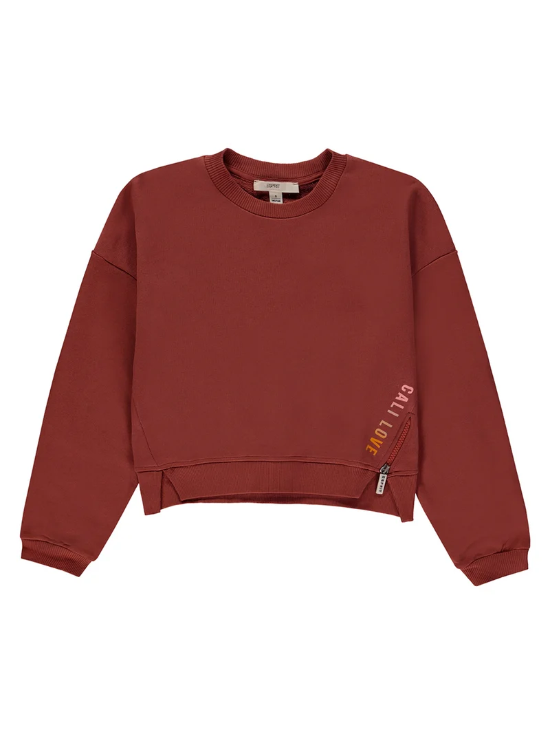 Sweatshirt Braun