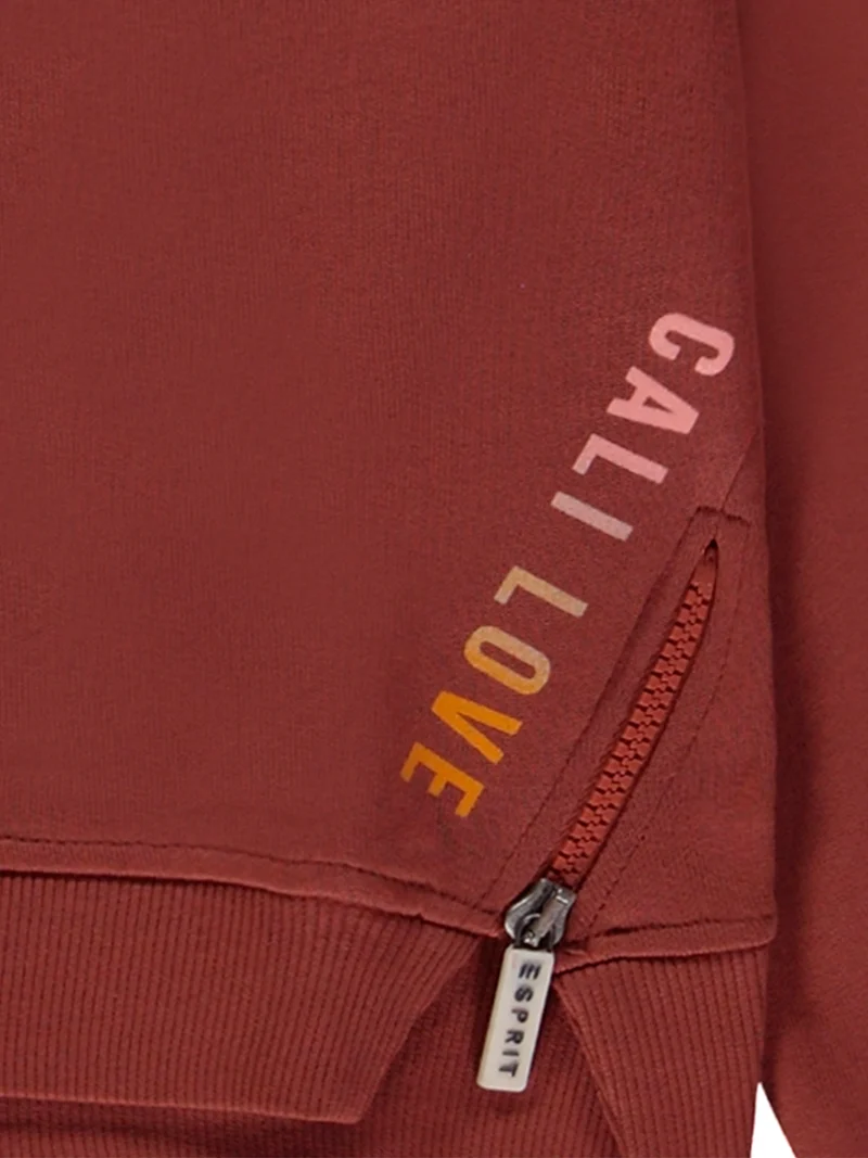 Sweatshirt Braun