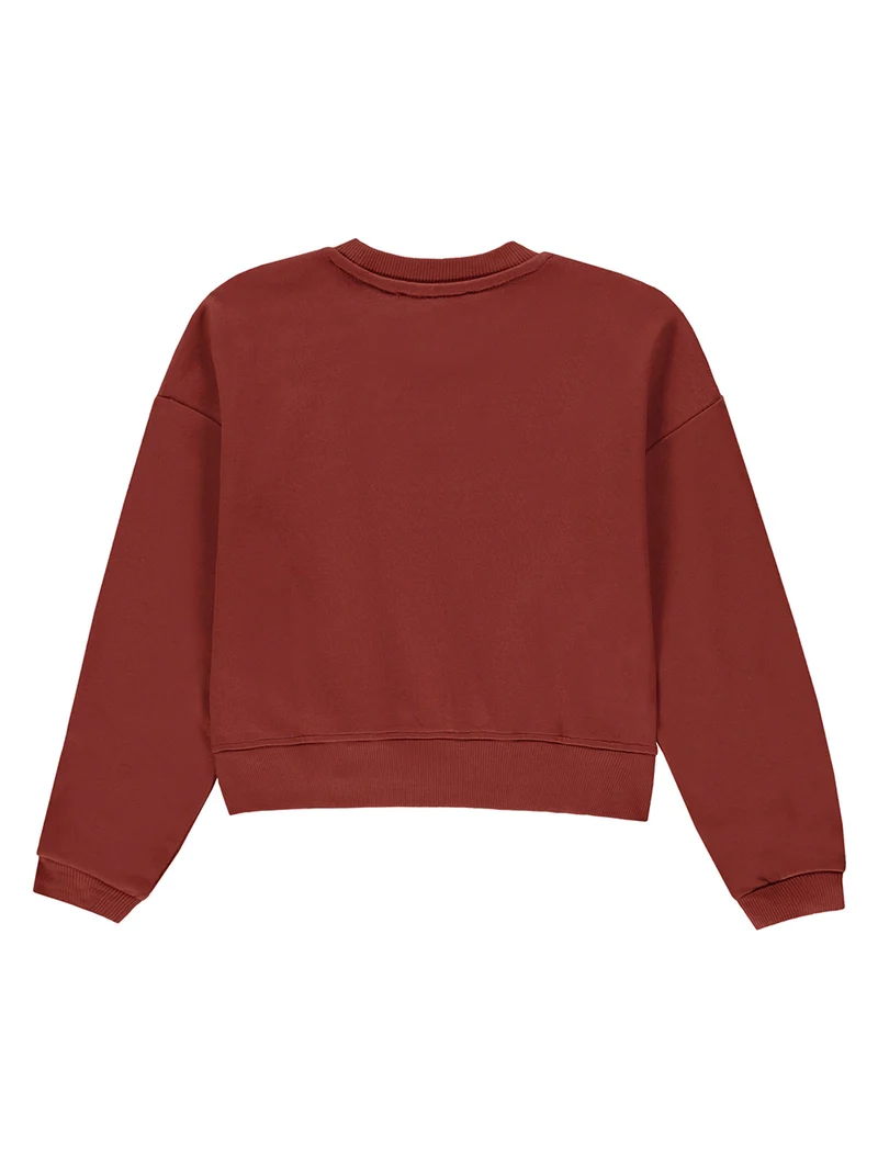 Sweatshirt Braun