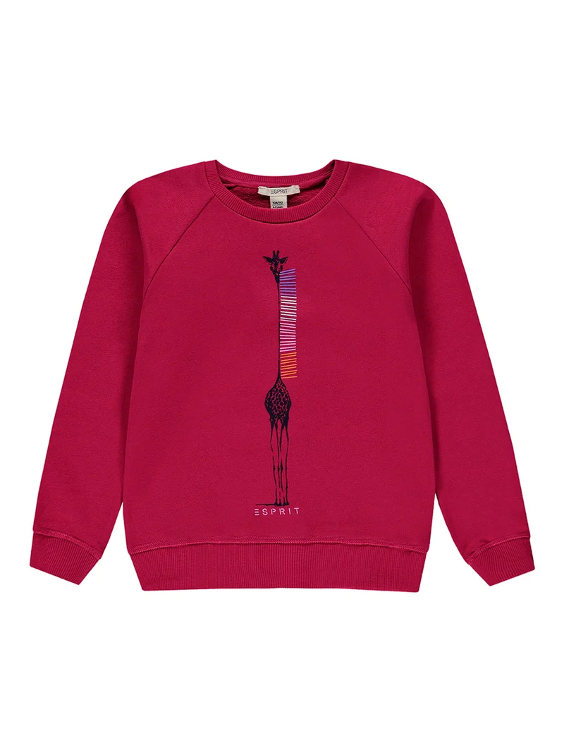 Sweatshirt Pink