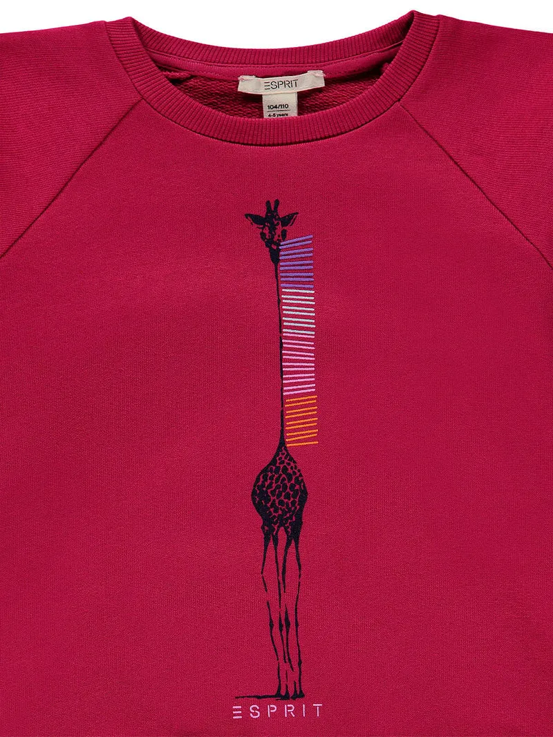 Sweatshirt Pink
