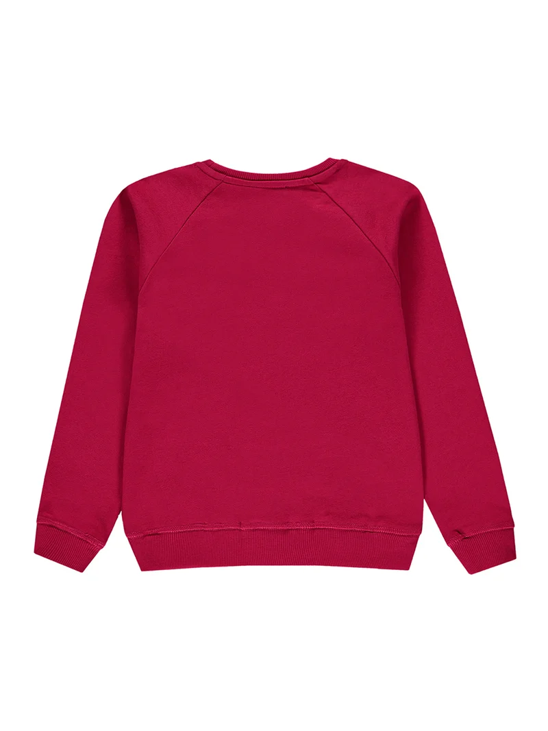 Sweatshirt Pink