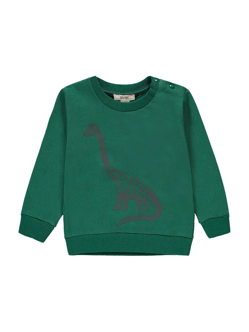 Sweatshirt Grün