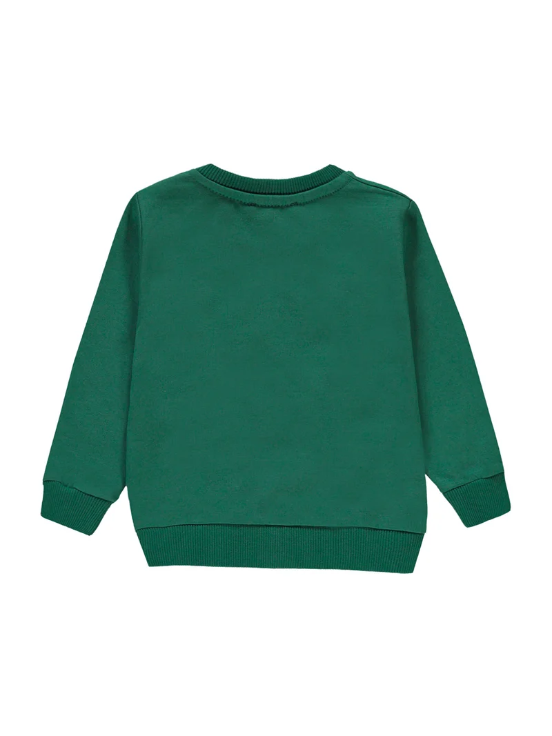 Sweatshirt Grün