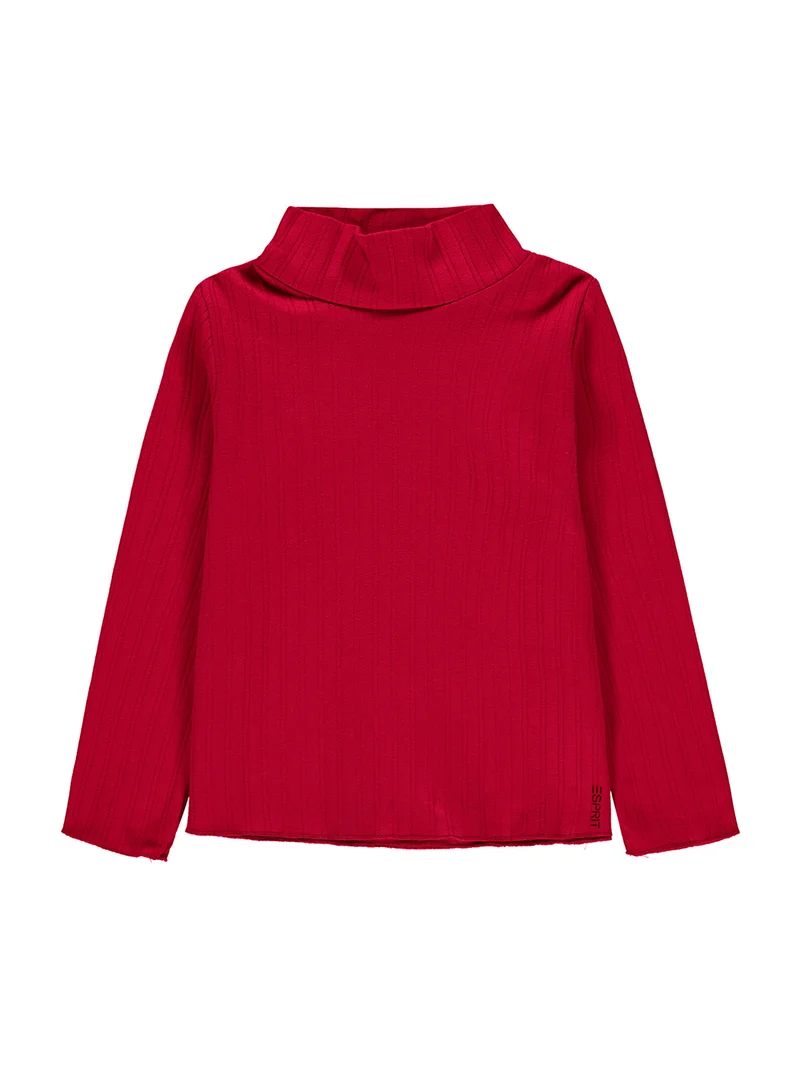 Longsleeve Rot