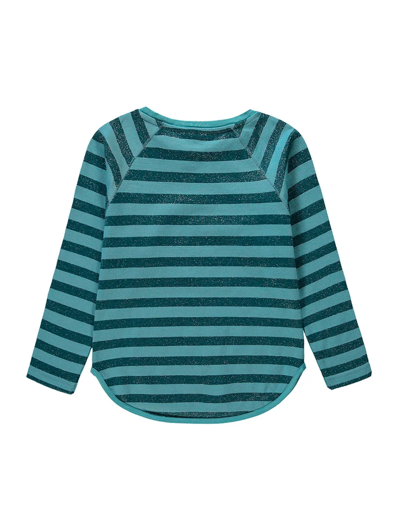 Longsleeve Mehrfarbig