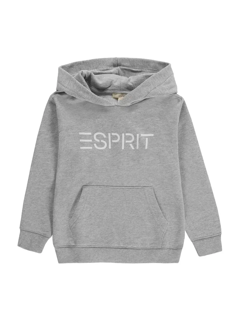 Hoodie Grau