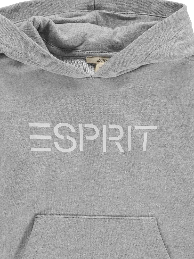 Hoodie Grau