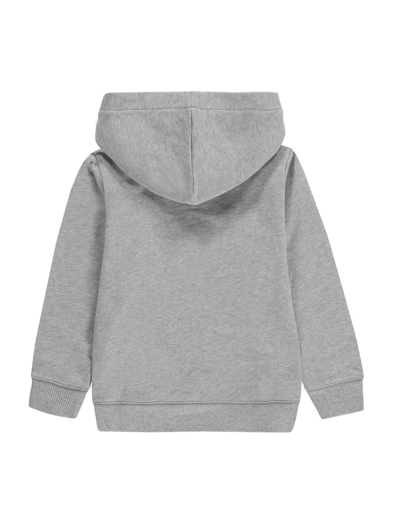 Hoodie Grau
