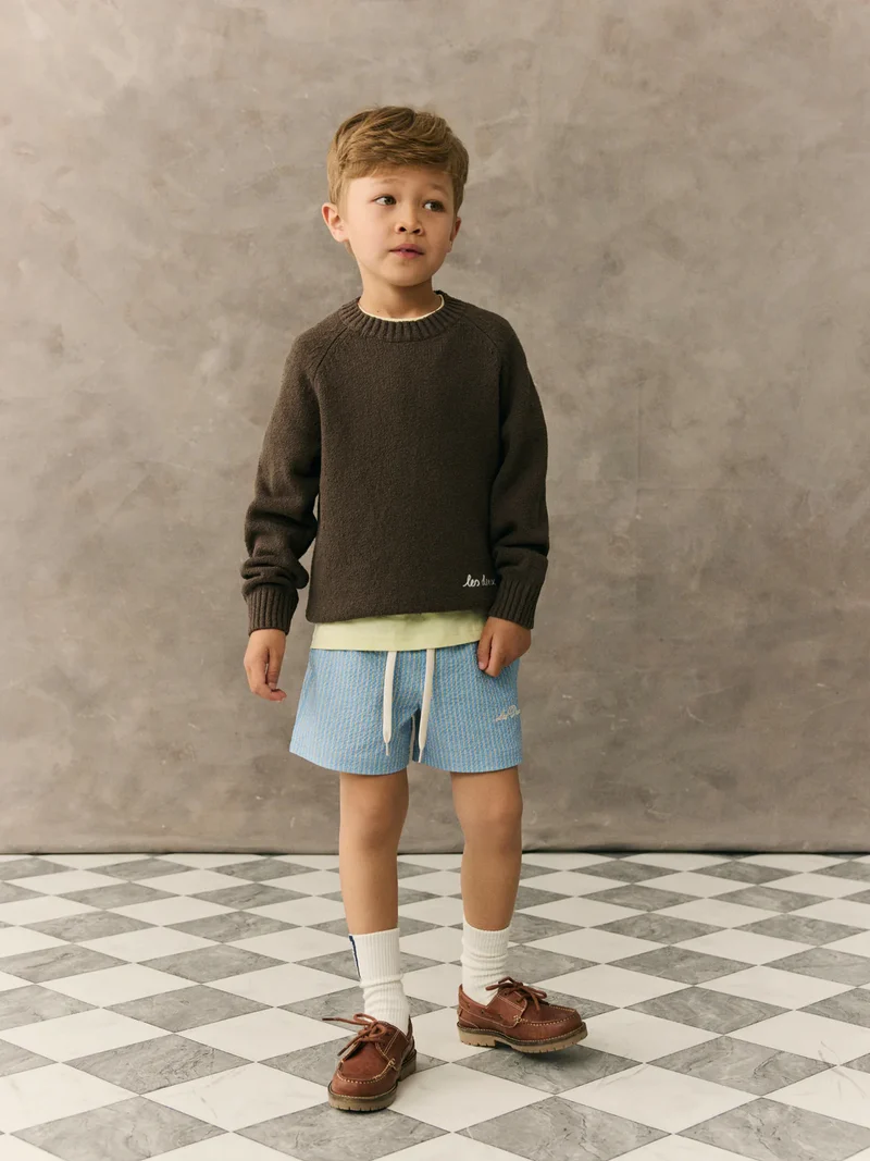 Pullover Brad Braun
