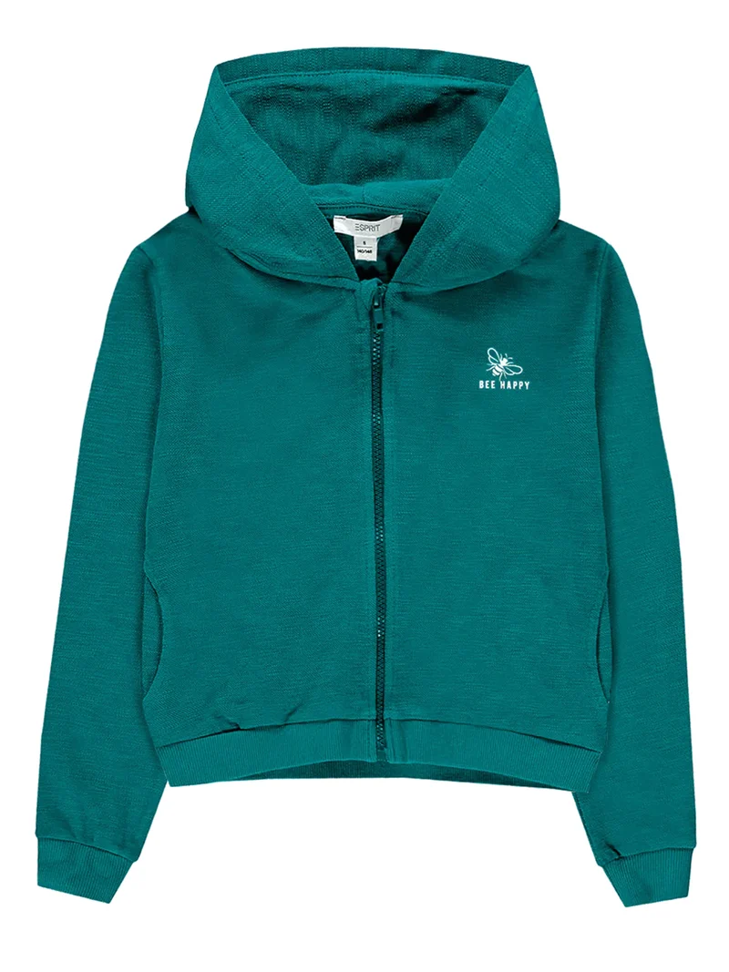 Sweatjacke Grün