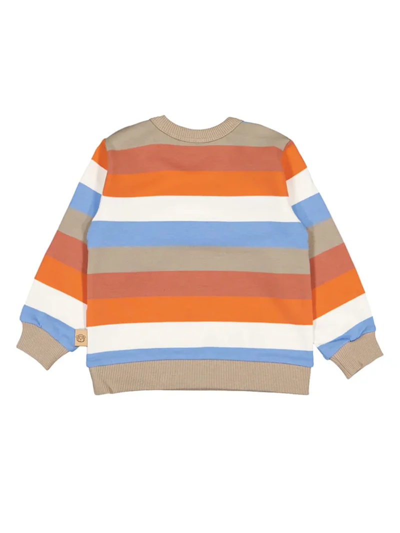 Sweatshirt Mehrfarbig