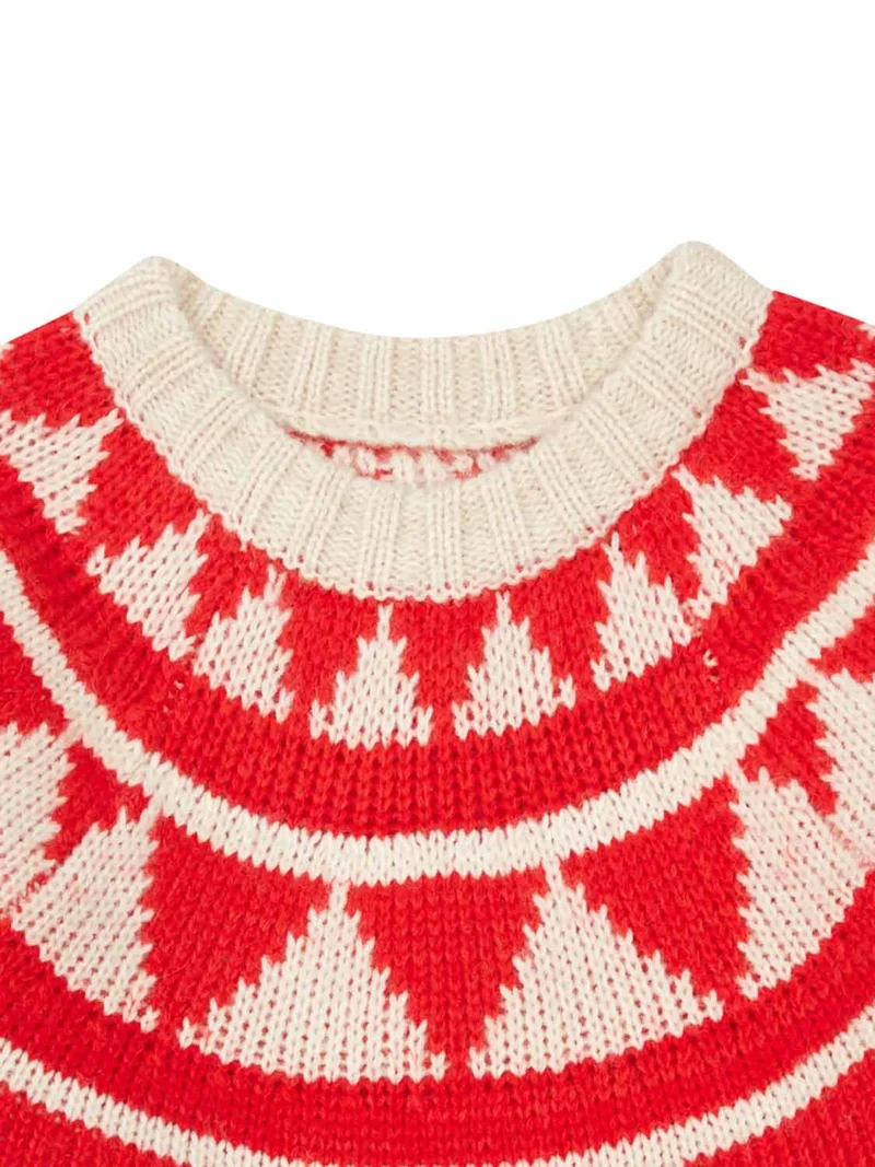 Pullover Rot