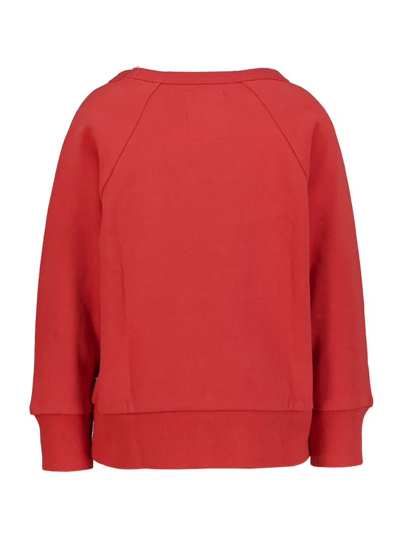 Sweatshirt Rot