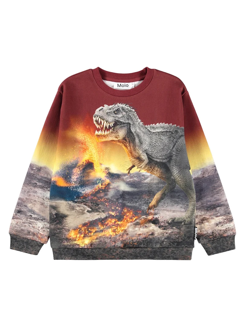 Pullover Rot