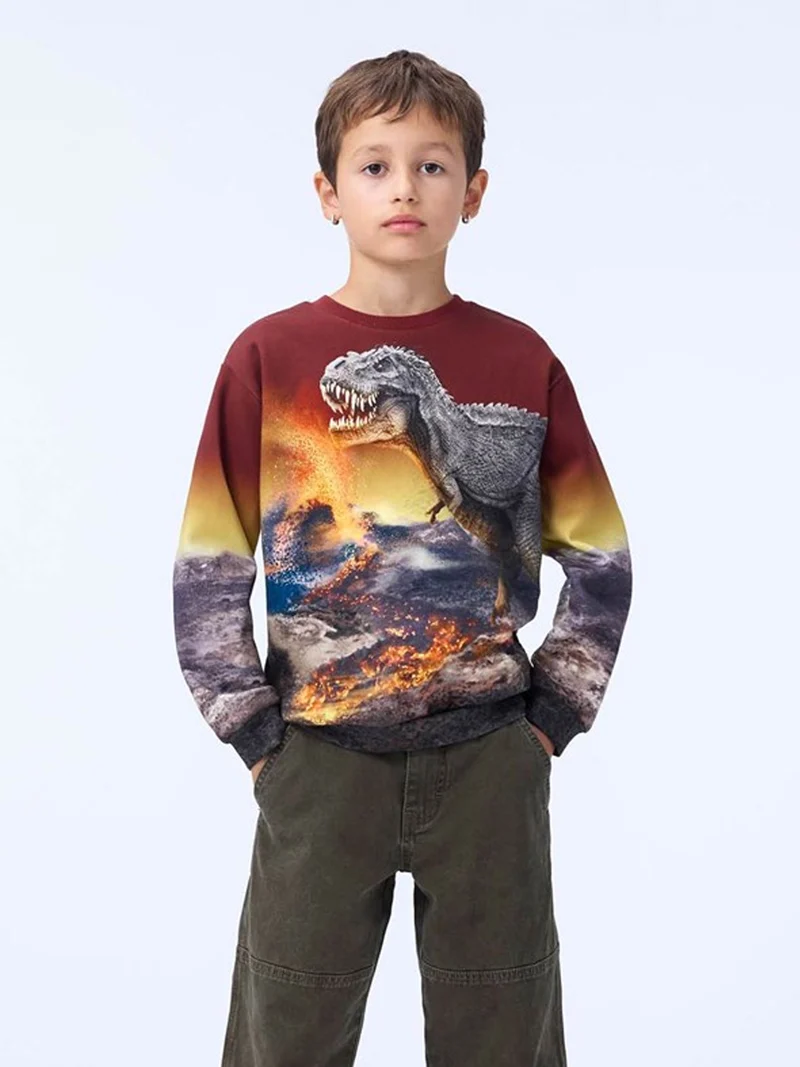 Pullover Rot