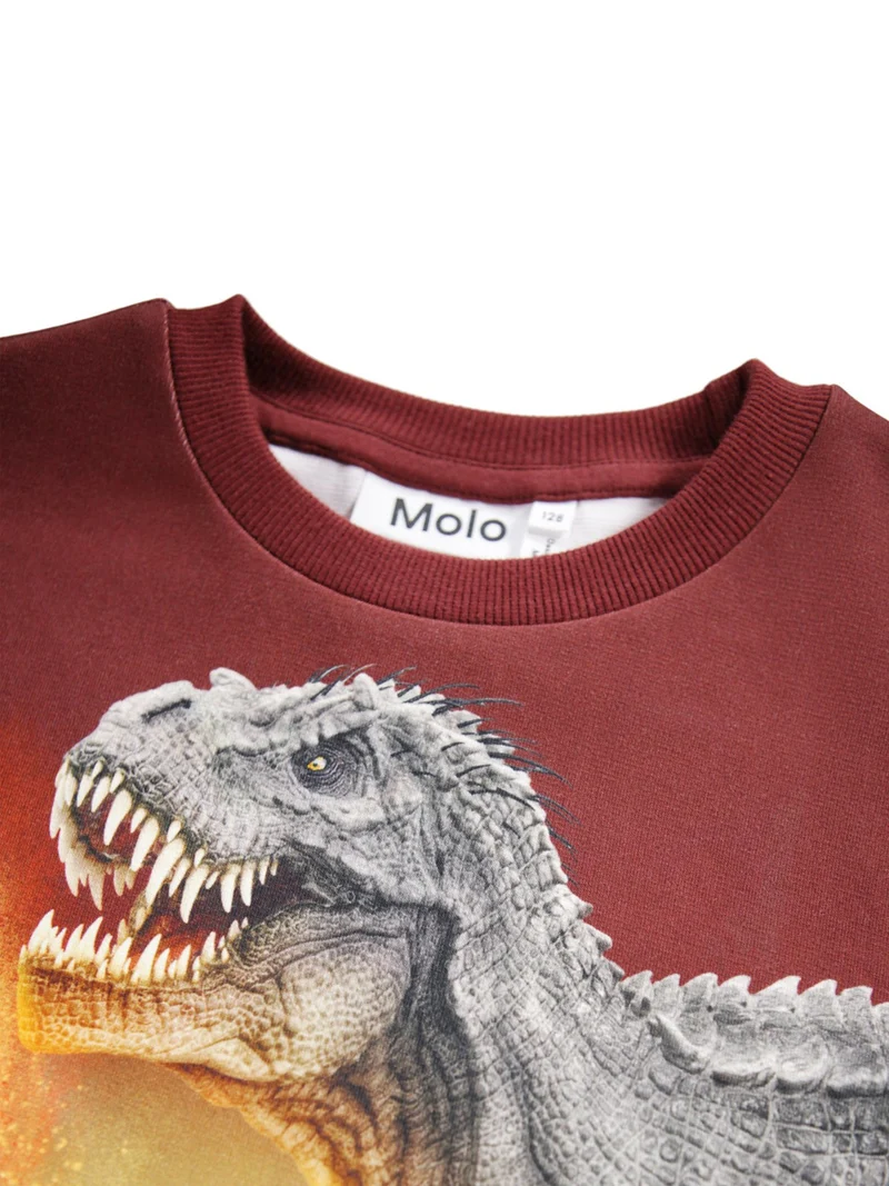 Pullover Rot